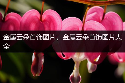 金属云朵首饰图片，金属云朵首饰图片大全