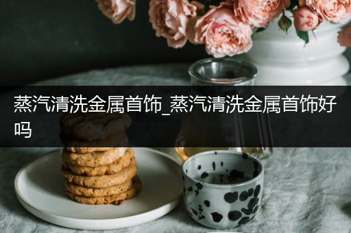 蒸汽清洗金属首饰_蒸汽清洗金属首饰好吗