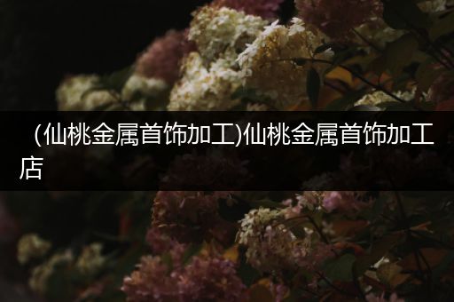 （仙桃金属首饰加工)仙桃金属首饰加工店