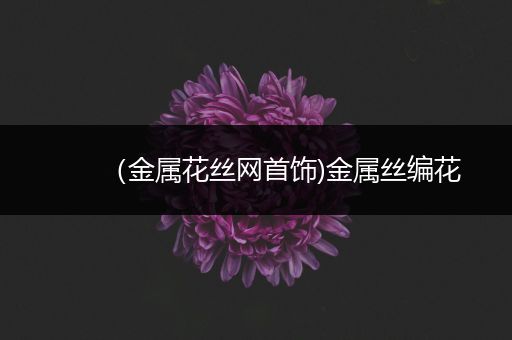 （金属花丝网首饰)金属丝编花