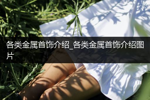 各类金属首饰介绍_各类金属首饰介绍图片