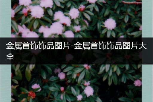 金属首饰饰品图片-金属首饰饰品图片大全