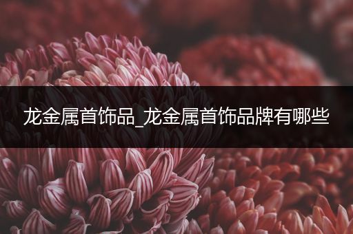 龙金属首饰品_龙金属首饰品牌有哪些