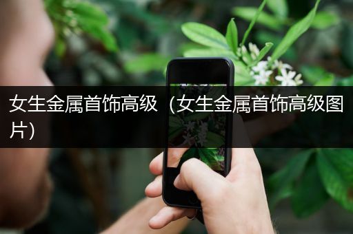 女生金属首饰高级（女生金属首饰高级图片）