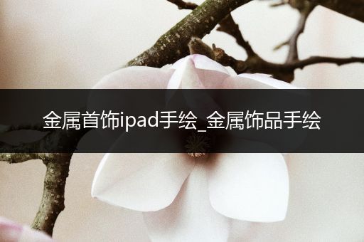 金属首饰ipad手绘_金属饰品手绘