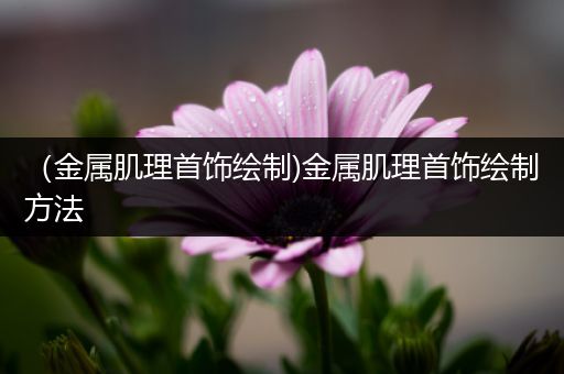 （金属肌理首饰绘制)金属肌理首饰绘制方法