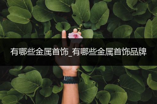 有哪些金属首饰_有哪些金属首饰品牌