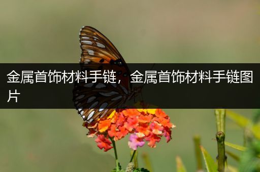 金属首饰材料手链，金属首饰材料手链图片