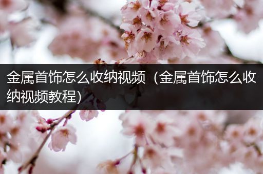 金属首饰怎么收纳视频（金属首饰怎么收纳视频教程）