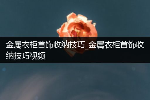 金属衣柜首饰收纳技巧_金属衣柜首饰收纳技巧视频