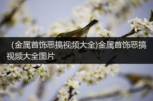 （金属首饰恶搞视频大全)金属首饰恶搞视频大全图片