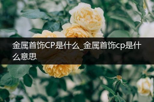 金属首饰CP是什么_金属首饰cp是什么意思