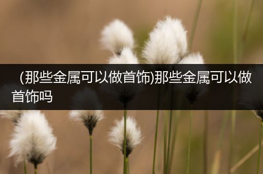 （那些金属可以做首饰)那些金属可以做首饰吗