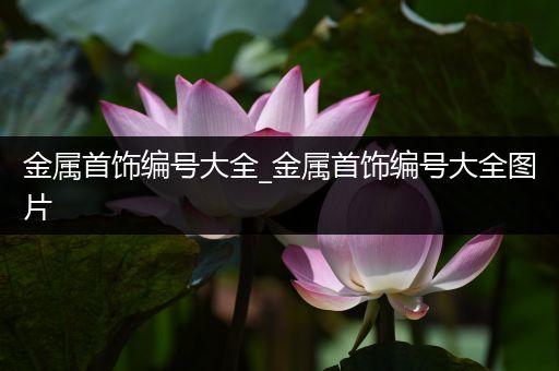 金属首饰编号大全_金属首饰编号大全图片