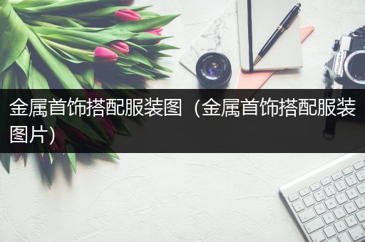 金属首饰搭配服装图（金属首饰搭配服装图片）