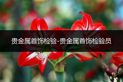 贵金属首饰检验-贵金属首饰检验员