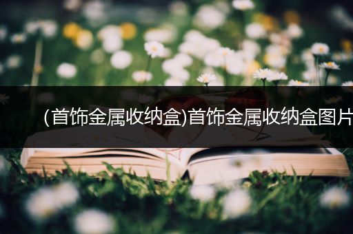 （首饰金属收纳盒)首饰金属收纳盒图片