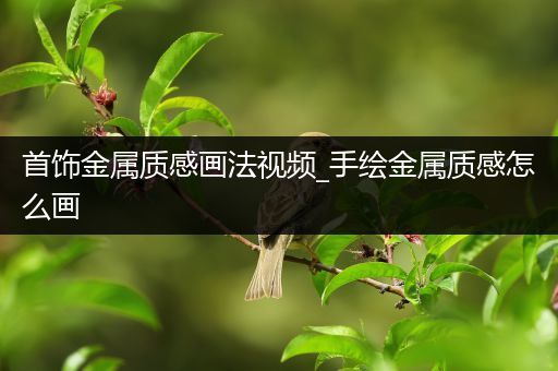 首饰金属质感画法视频_手绘金属质感怎么画