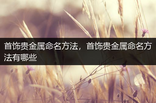 首饰贵金属命名方法，首饰贵金属命名方法有哪些