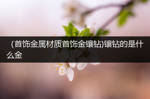 （首饰金属材质首饰金镶钻)镶钻的是什么金