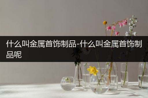 什么叫金属首饰制品-什么叫金属首饰制品呢