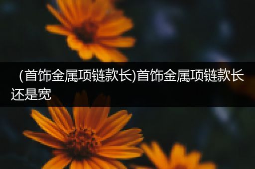 （首饰金属项链款长)首饰金属项链款长还是宽