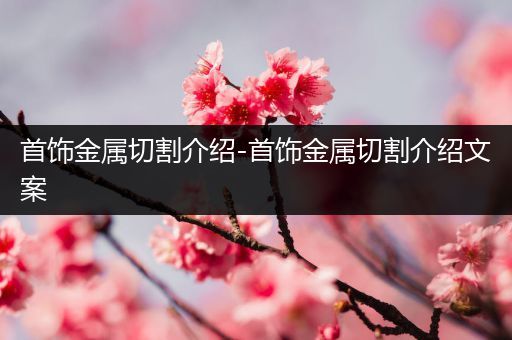 首饰金属切割介绍-首饰金属切割介绍文案