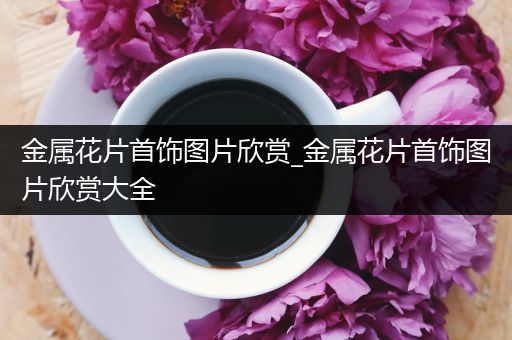 金属花片首饰图片欣赏_金属花片首饰图片欣赏大全