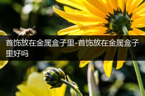 首饰放在金属盒子里-首饰放在金属盒子里好吗