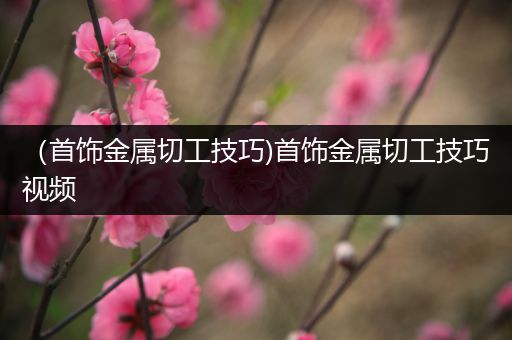 （首饰金属切工技巧)首饰金属切工技巧视频