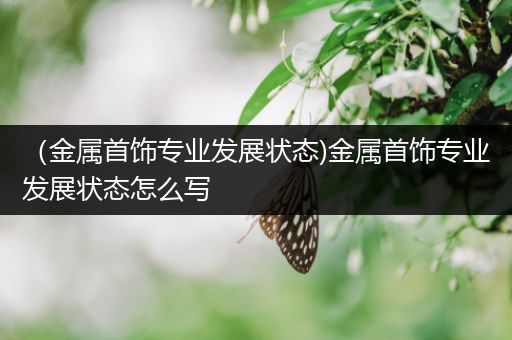 （金属首饰专业发展状态)金属首饰专业发展状态怎么写