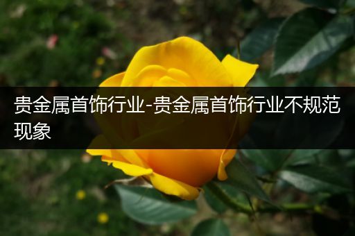 贵金属首饰行业-贵金属首饰行业不规范现象