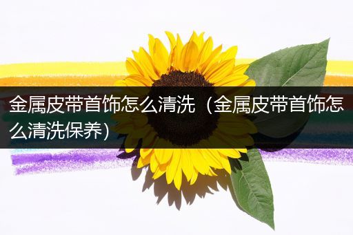 金属皮带首饰怎么清洗（金属皮带首饰怎么清洗保养）