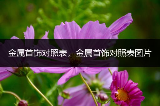 金属首饰对照表，金属首饰对照表图片
