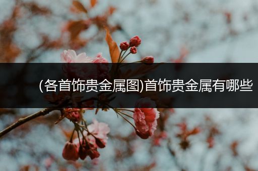 （各首饰贵金属图)首饰贵金属有哪些