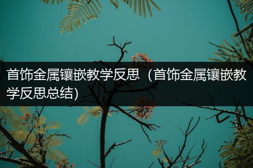 首饰金属镶嵌教学反思（首饰金属镶嵌教学反思总结）