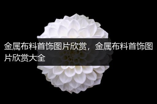 金属布料首饰图片欣赏，金属布料首饰图片欣赏大全