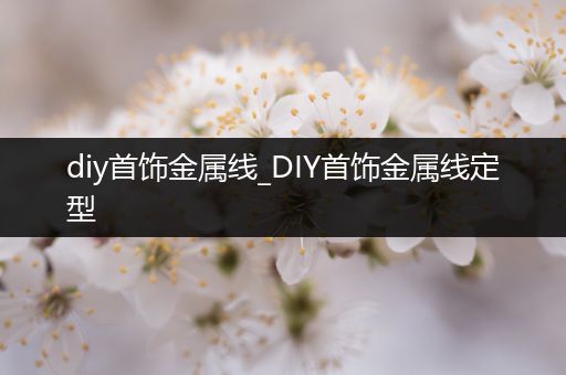 diy首饰金属线_DIY首饰金属线定型