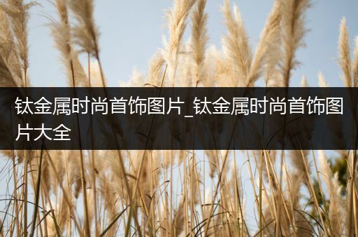 钛金属时尚首饰图片_钛金属时尚首饰图片大全