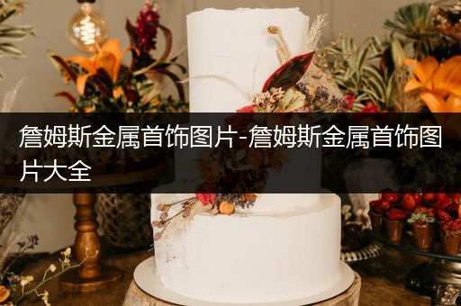 詹姆斯金属首饰图片-詹姆斯金属首饰图片大全