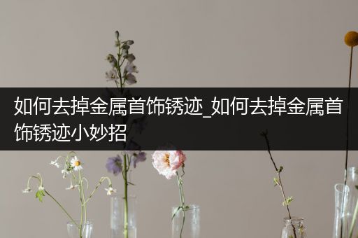 如何去掉金属首饰锈迹_如何去掉金属首饰锈迹小妙招