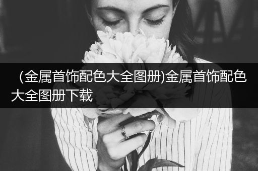 （金属首饰配色大全图册)金属首饰配色大全图册下载