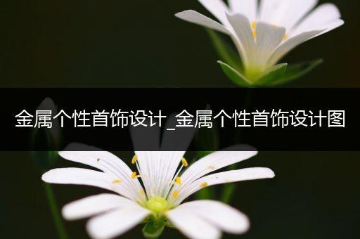 金属个性首饰设计_金属个性首饰设计图