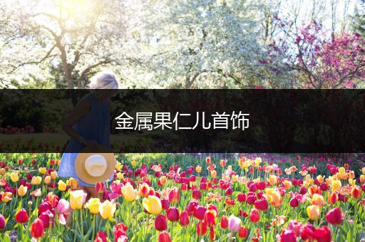金属果仁儿首饰