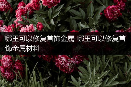 哪里可以修复首饰金属-哪里可以修复首饰金属材料