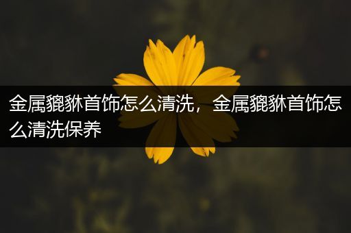 金属貔貅首饰怎么清洗，金属貔貅首饰怎么清洗保养