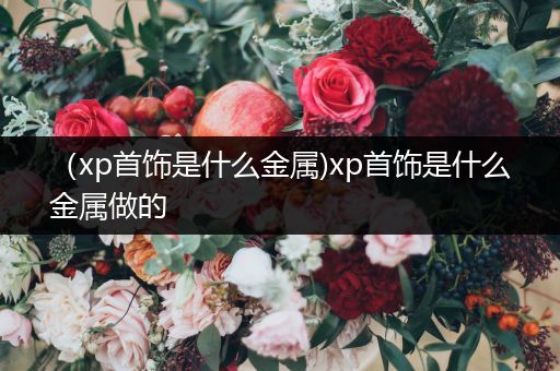 （xp首饰是什么金属)xp首饰是什么金属做的