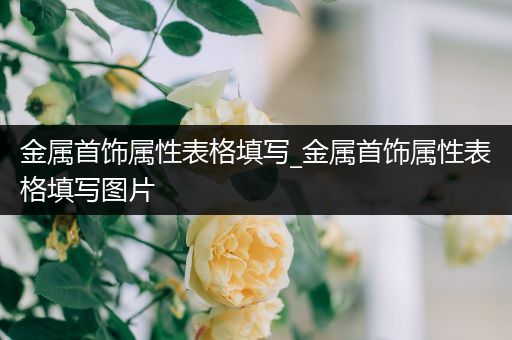 金属首饰属性表格填写_金属首饰属性表格填写图片