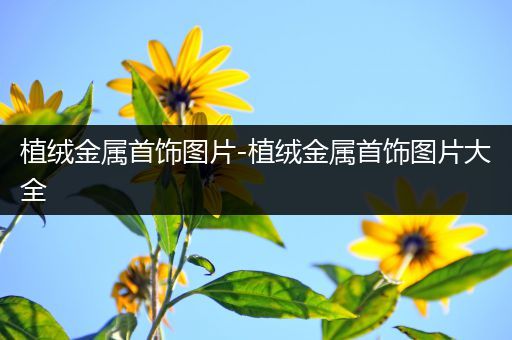 植绒金属首饰图片-植绒金属首饰图片大全