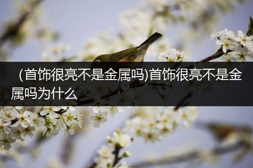 （首饰很亮不是金属吗)首饰很亮不是金属吗为什么